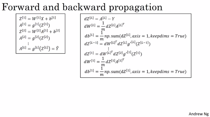 forward_backward_propagation.png