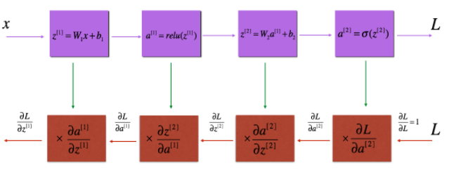 forward_backward_propagation_formulas.png